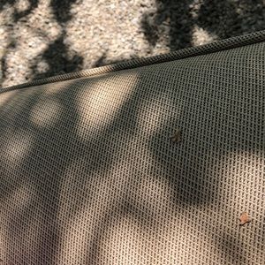 Meet your Posher, Amelia